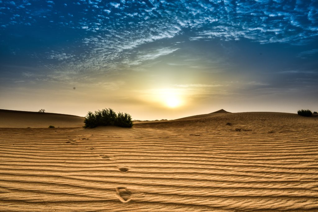Questa immagine ha l'attributo alt vuoto; il nome del file Ã¨ abu-dhabi-desert-blue-skies-bush-in-desert-1096368-1-1024x683.jpg